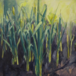 VOORJAAR 2 (narcissen) - olieverf op paneel - 60x60 cm - € 500,--