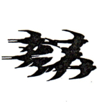 Logo stichting Hyrundo - zwaluwtrekonderzoek