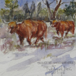 SCHOTSE HOOGLANDERS OP DE WEZEPERHEIDE - aquarel - 12x 12 cm - verkocht